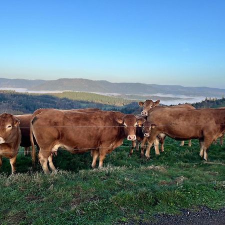 Gite De Montagne -Bellefosse Alsace Экстерьер фото