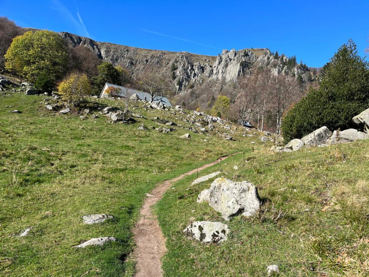 Gite De Montagne -Bellefosse Alsace Экстерьер фото
