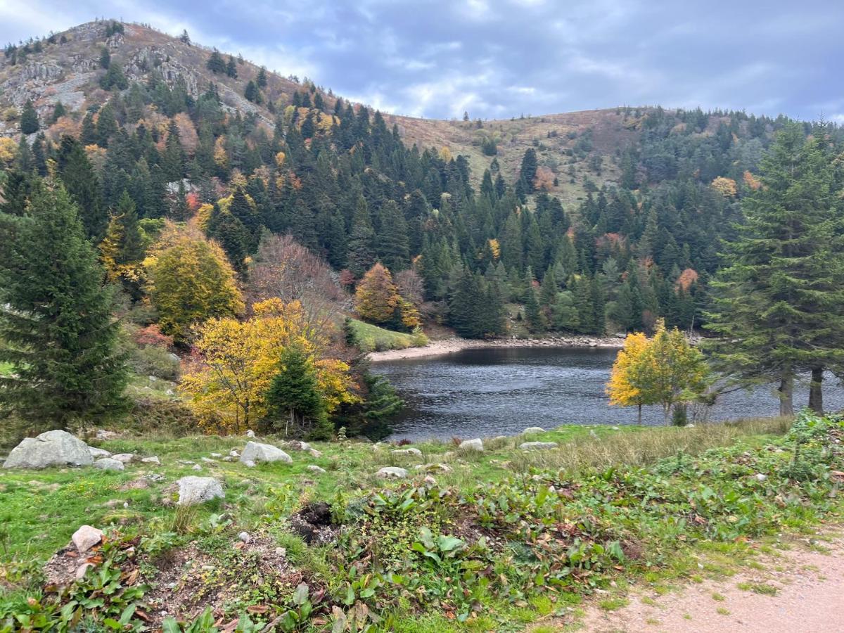 Gite De Montagne -Bellefosse Alsace Экстерьер фото