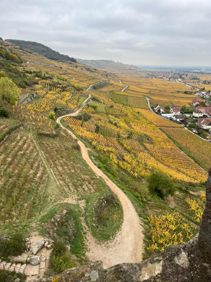Gite De Montagne -Bellefosse Alsace Экстерьер фото