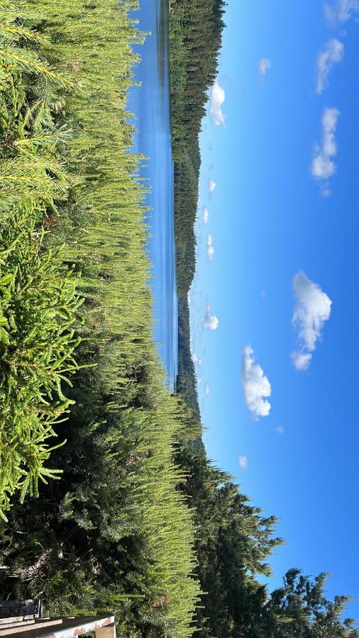 Gite De Montagne -Bellefosse Alsace Экстерьер фото
