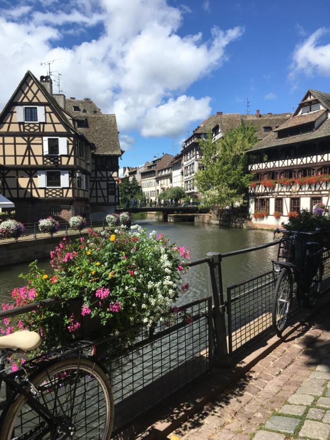 Gite De Montagne -Bellefosse Alsace Экстерьер фото