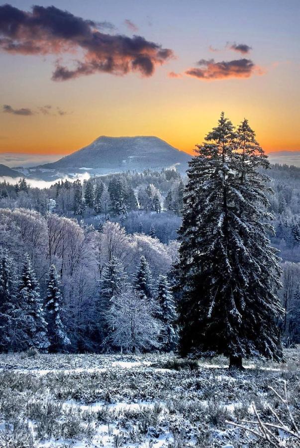 Gite De Montagne -Bellefosse Alsace Экстерьер фото