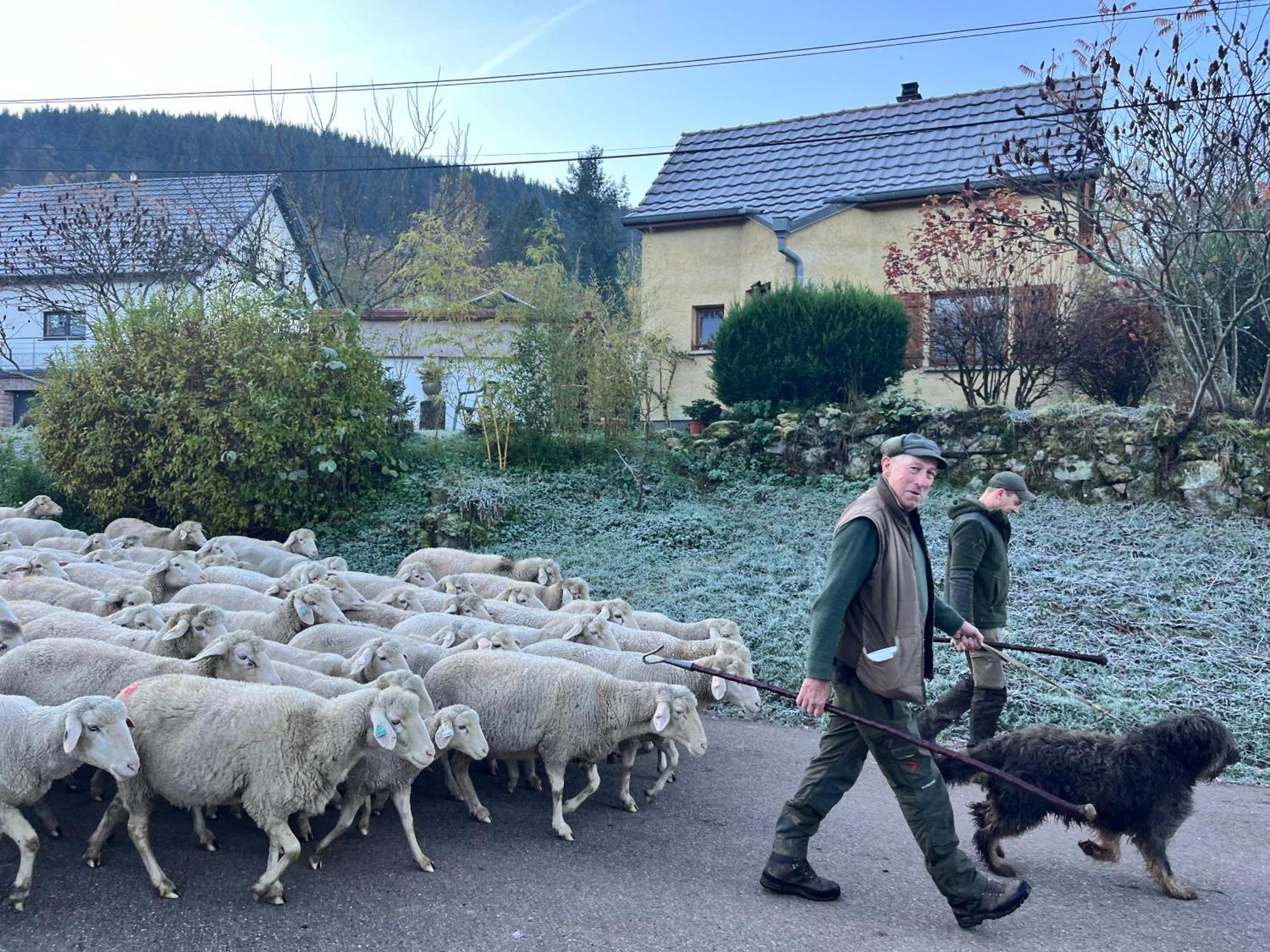 Gite De Montagne -Bellefosse Alsace Экстерьер фото