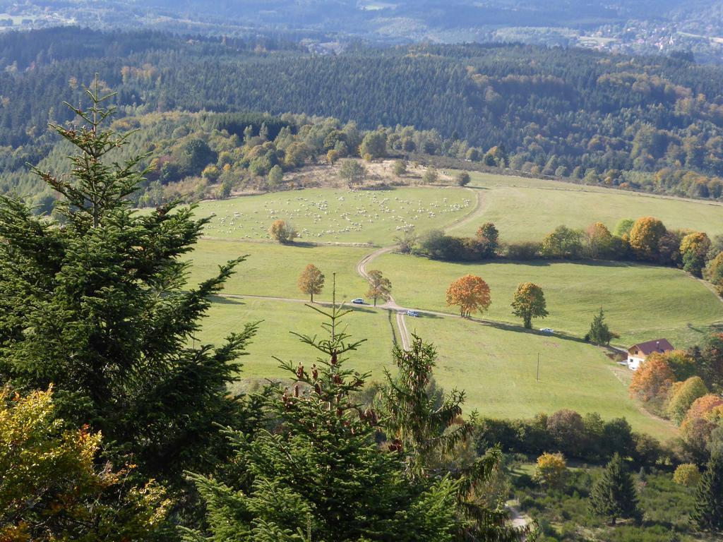 Gite De Montagne -Bellefosse Alsace Экстерьер фото