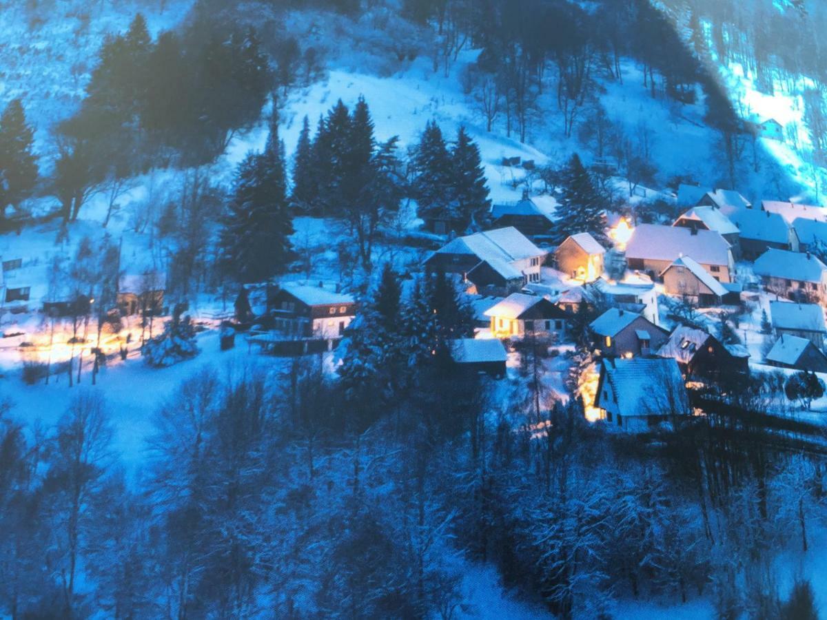 Gite De Montagne -Bellefosse Alsace Экстерьер фото